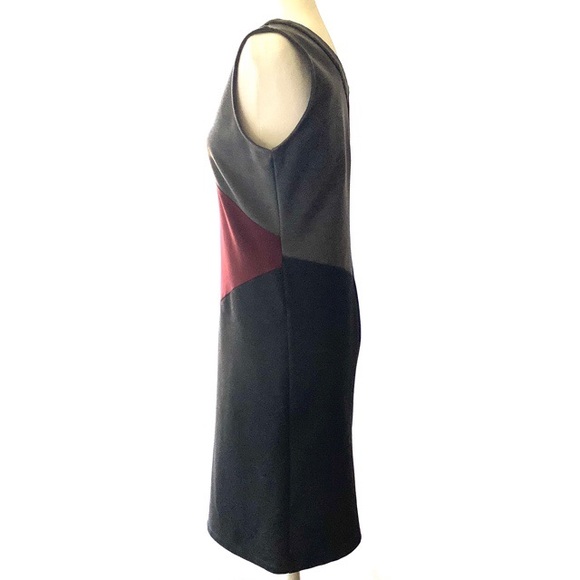 Ava Colorblock Sheath Dress - Picture 4 of 6